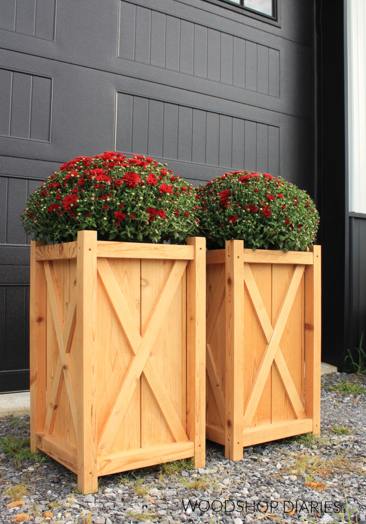 Two cedar planter boxes with X trim on sides with red mums