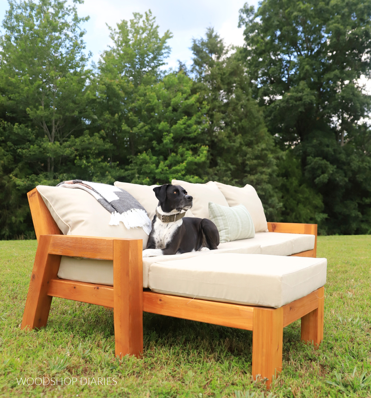 Black and white dog on wooden chunky outdoor chaise sectional sofa in yard with cushions